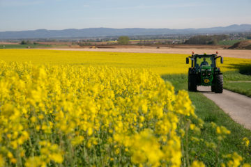 Traktor vor gelb blühendem Feld