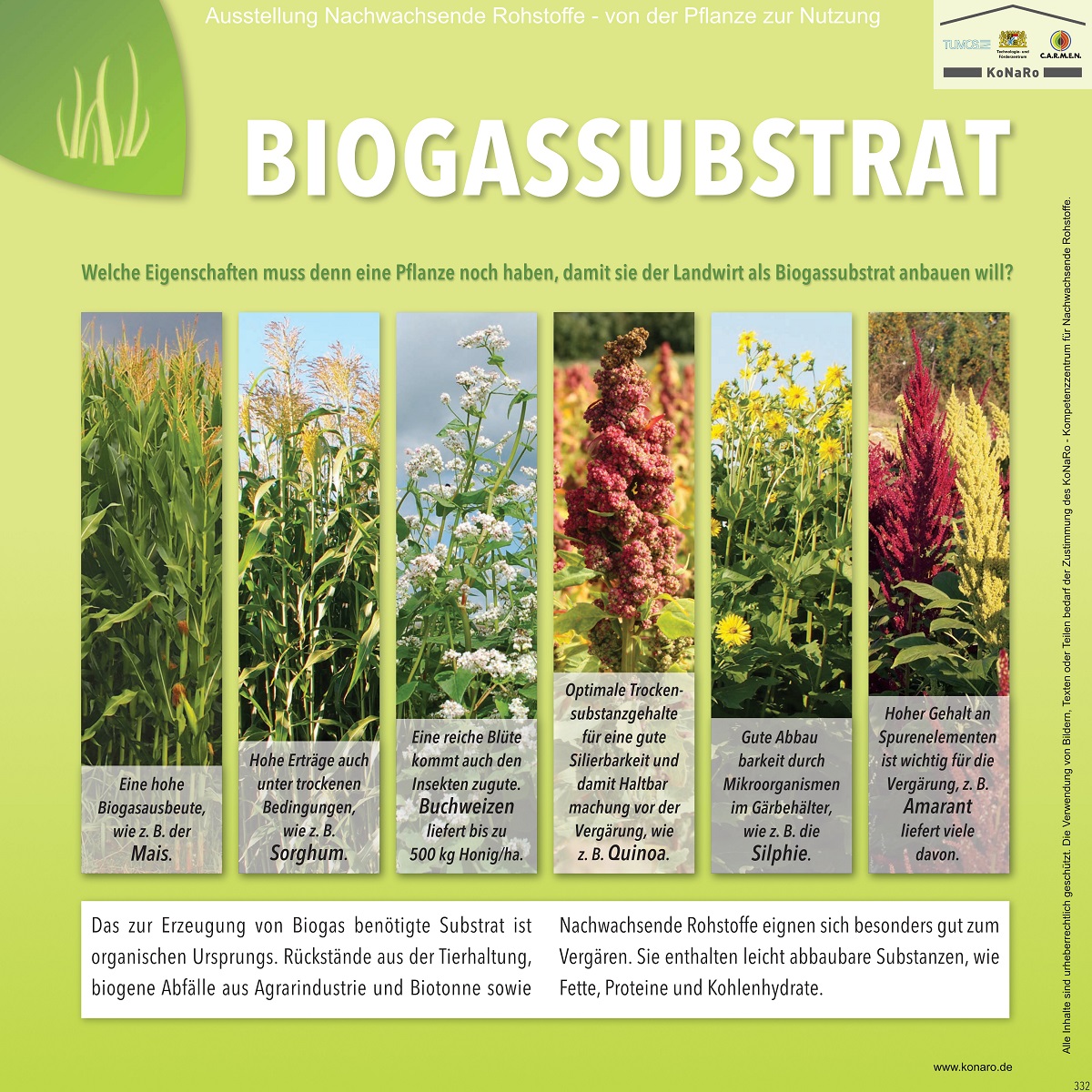 Abteilung 3: Biogas