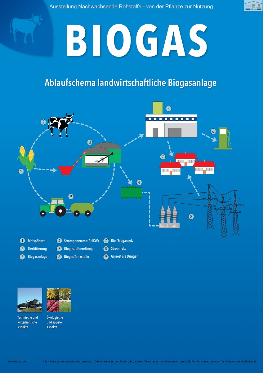 Abteilung 4: Biogas