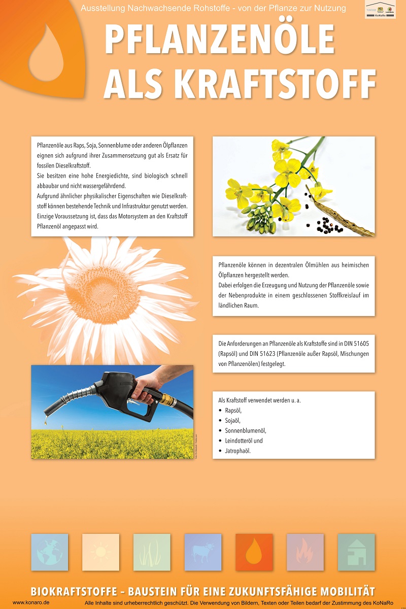 Abteilung 5: Pflanzenöle als Kraftstoff