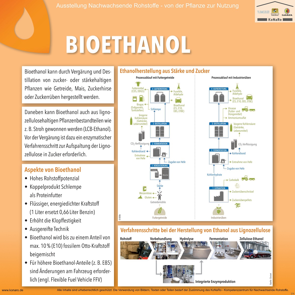 Abteilung 5: Bioethanol