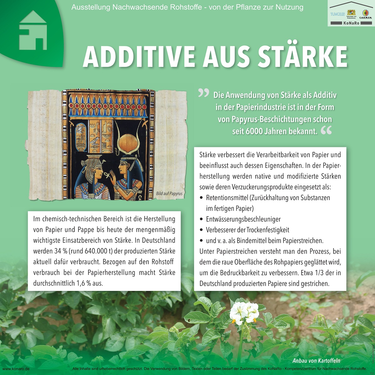 Abteilung 7: Additive aus Stärke