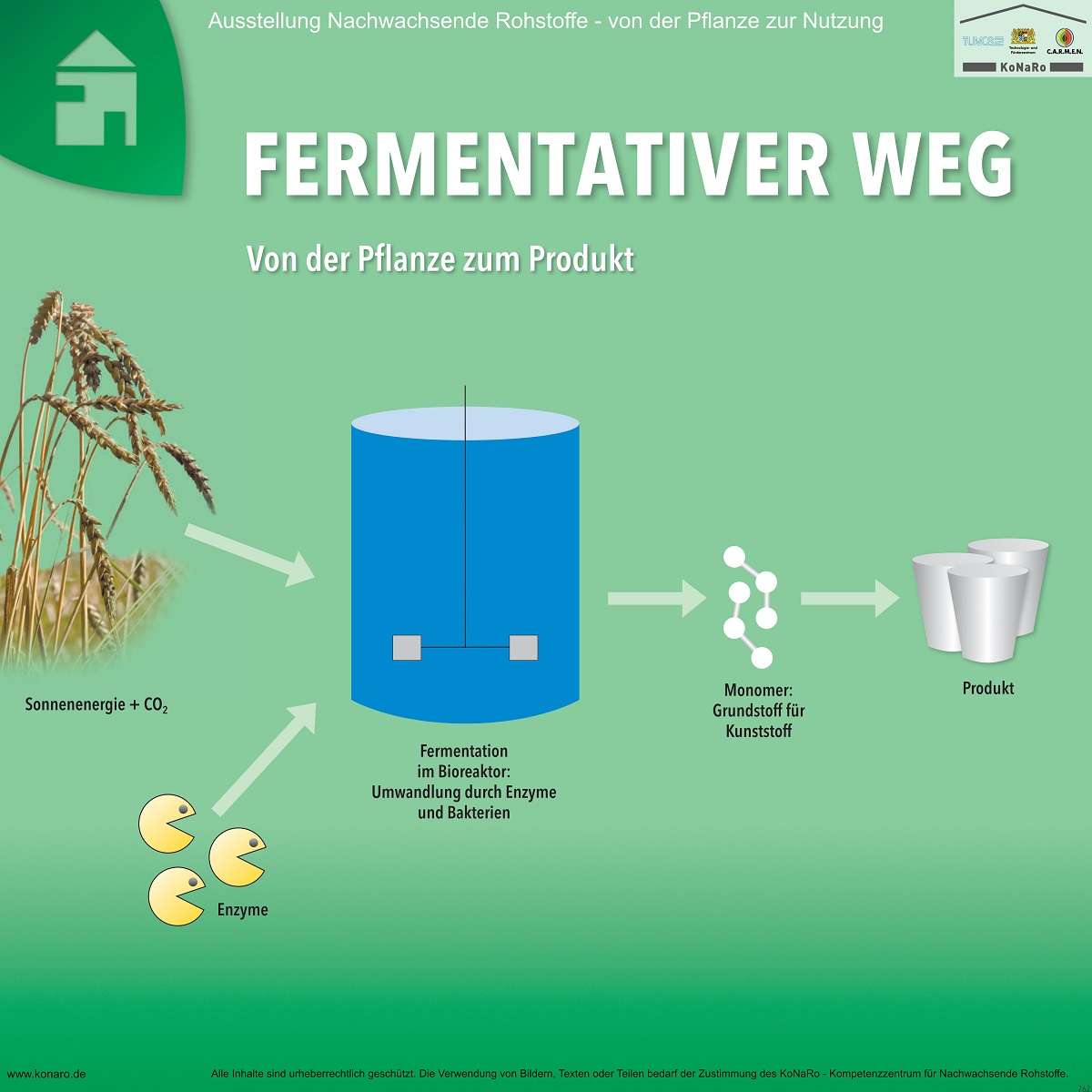 Abteilung 7: Fermentativer Weg