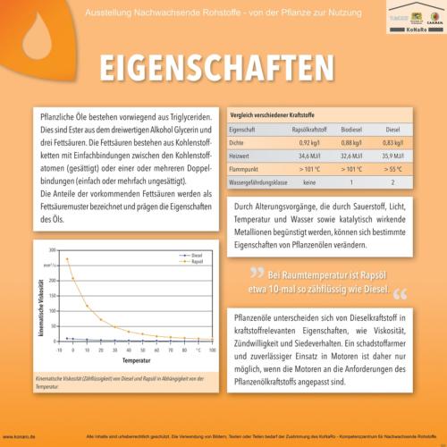 Abteilung 5: Eigenschaften