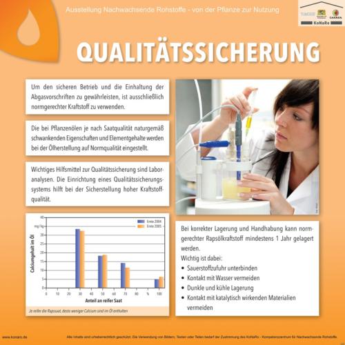 Abteilung 5: Qualitätssicherung