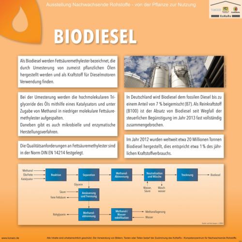 Abteilung 5: Biodiesel