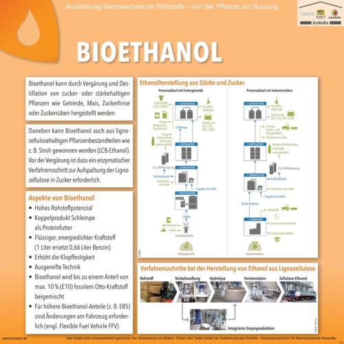 Abteilung 5: Bioethanol