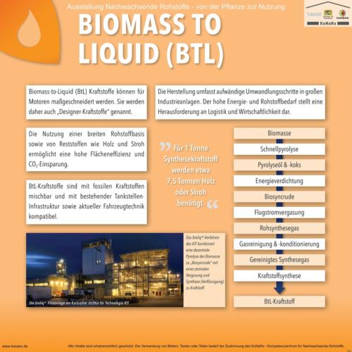 Abteilung 5: Biomass to Liquid