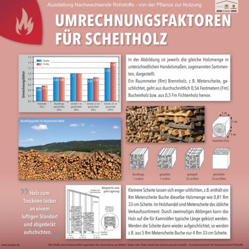 Abteilung 6: Umrechnungsfaktoren für Scheitholz