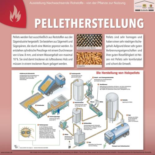 Abteilung 6: Pelletherstellung