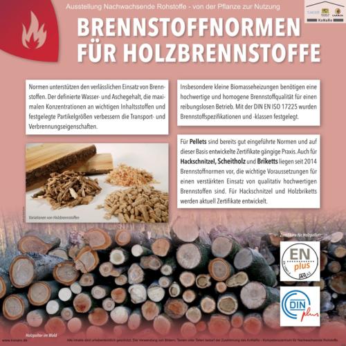 Abteilung 6: Brennstoffnormen für Holzbrennstoffe