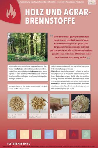 Abteilung 6: Holz- und Agrarbrennstoffe