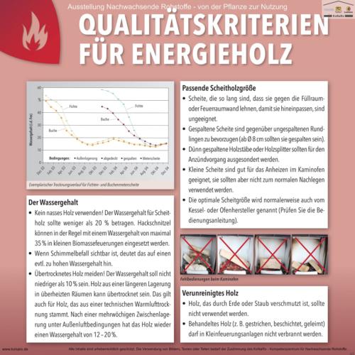 Abteilung 6: Qualitätskriterien für Energieholz