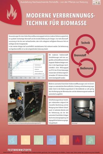 Abteilung 6: Moderne Verbrennungstechnik für Biomasse 