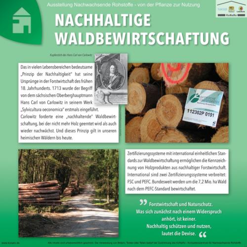 Abteilung 7: Nachhaltige Waldbewirtschaftung