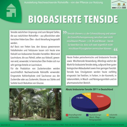 Abteilung 7: Biobasierte Tenside